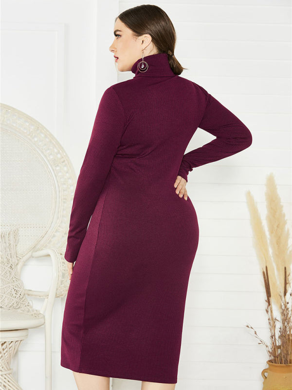 Cozy Turtleneck Knit Midi Dress