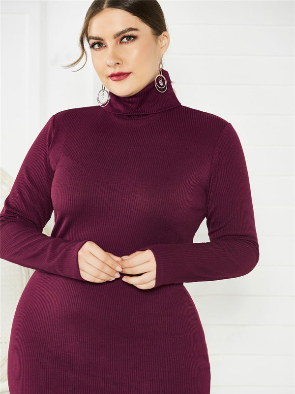 Cozy Turtleneck Knit Midi Dress
