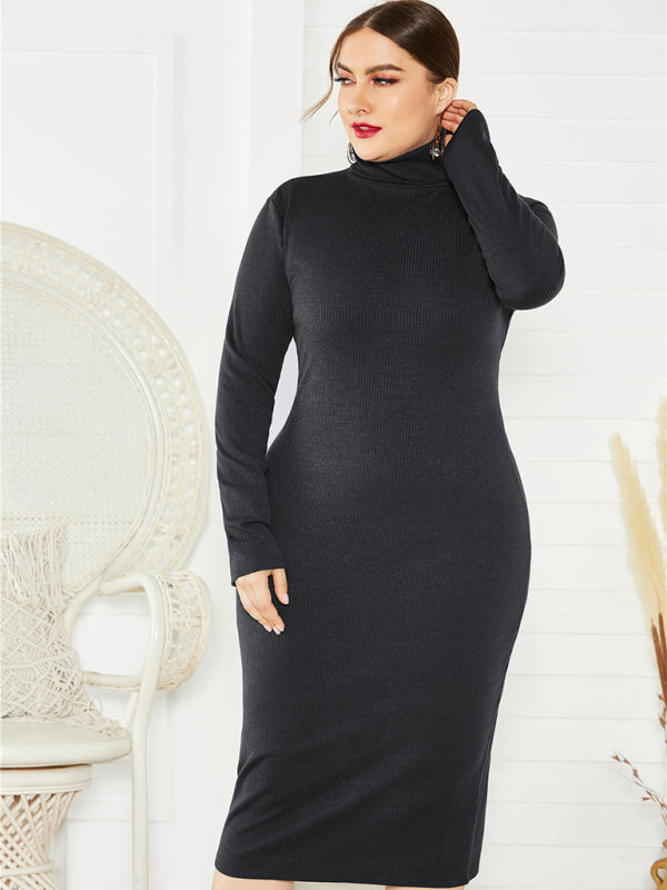 Cozy Turtleneck Knit Midi Dress