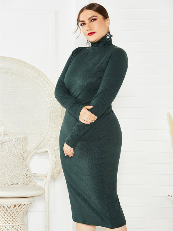 Cozy Turtleneck Knit Midi Dress