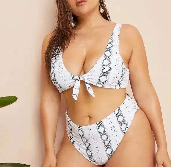 Women Animal Print High Waisted Bikini Set