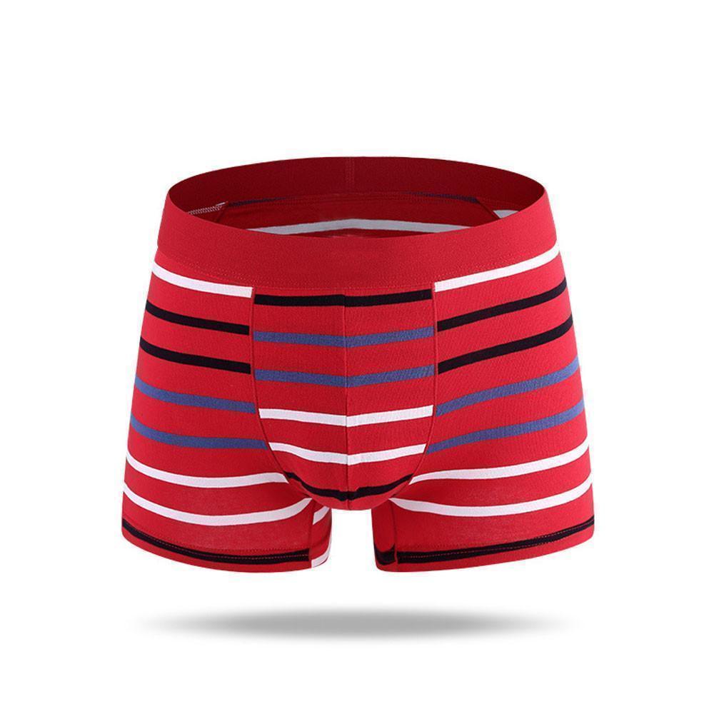Fashion Men's Underwear Sexy Striped Boxer Shorts - Underwear - LeStyleParfait Kenya