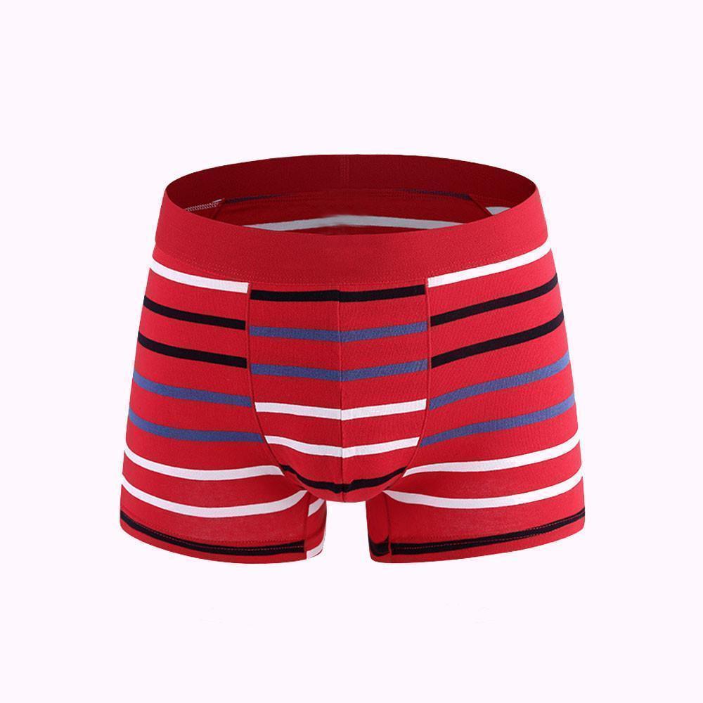 Fashion Men's Underwear Sexy Striped Boxer Shorts - Underwear - LeStyleParfait Kenya