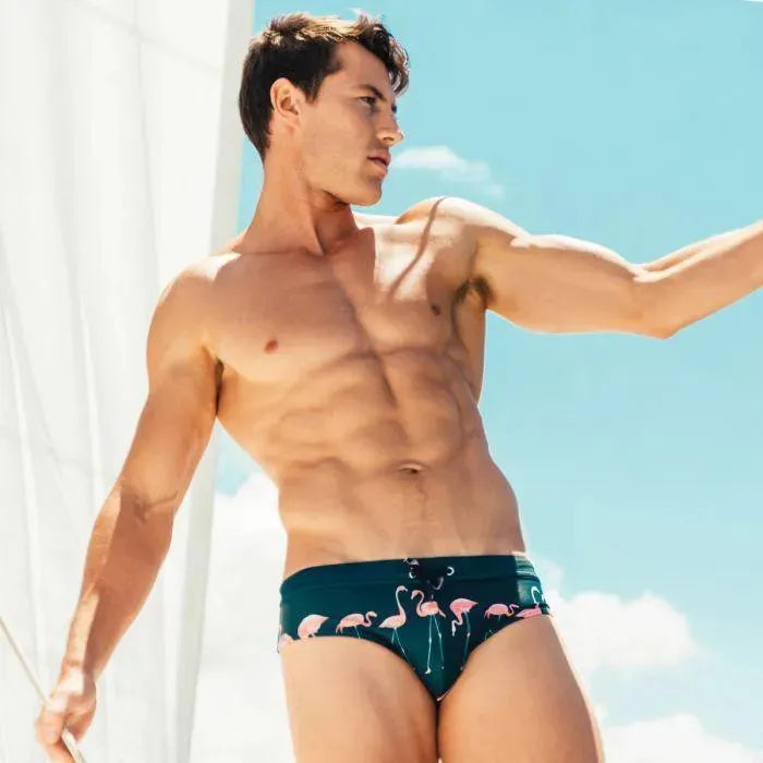 Men Flamingo Animal Print Swim Briefs fashion image