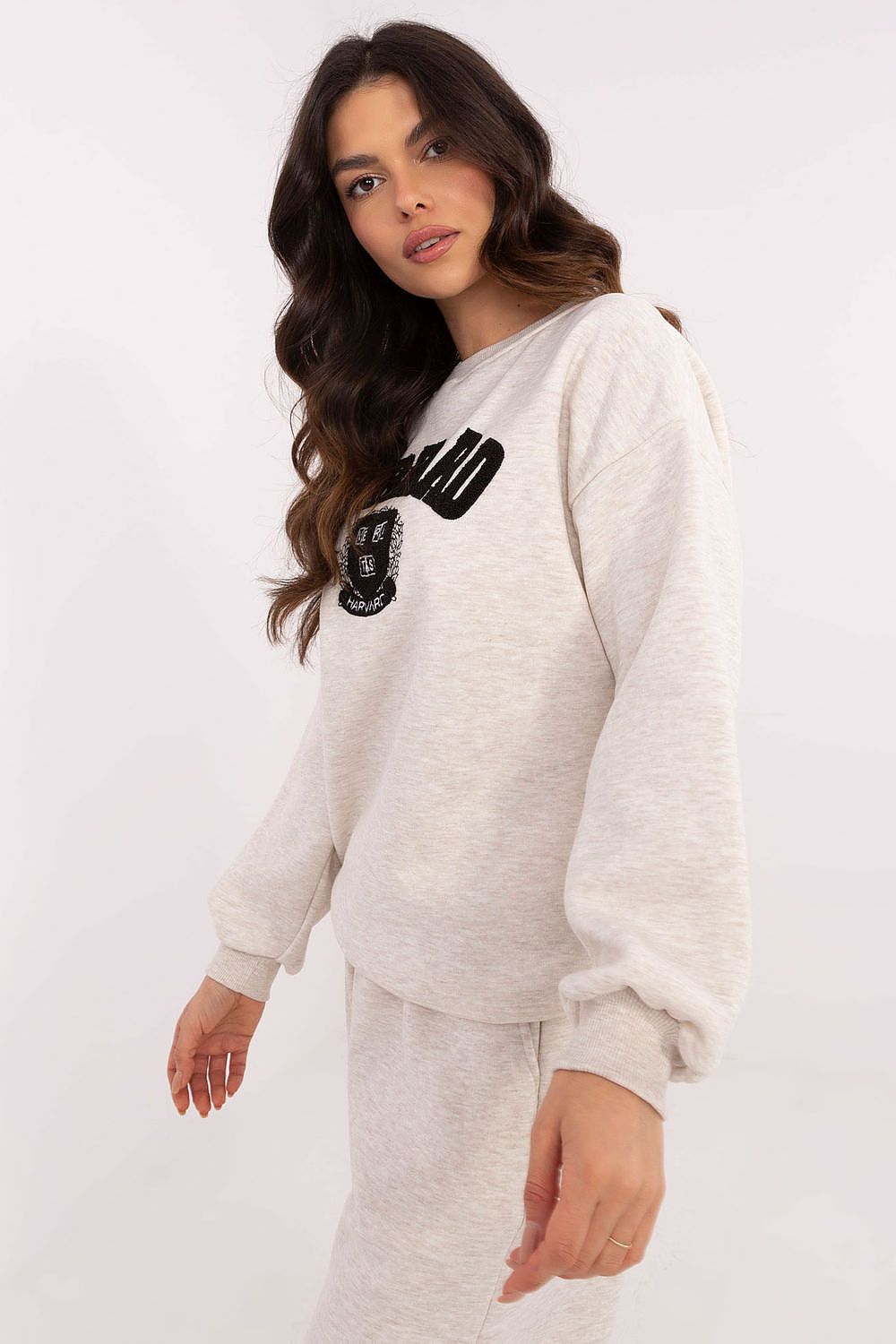 Women Regular Graphic Sweatshirt Urban Style-Women Sweatshirt-LeStyleParfait