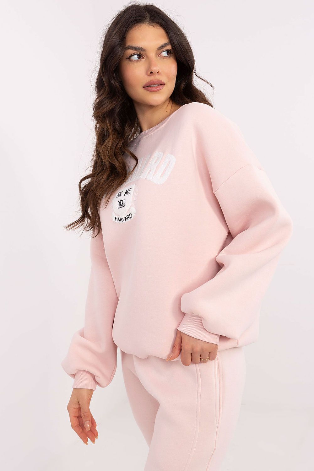 Women Regular Graphic Sweatshirt Urban Style-Women Sweatshirt-LeStyleParfait