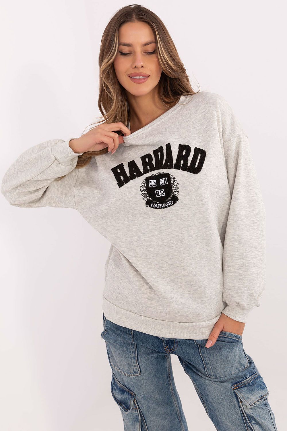 Women Regular Graphic Sweatshirt Urban Style-Women Sweatshirt-LeStyleParfait