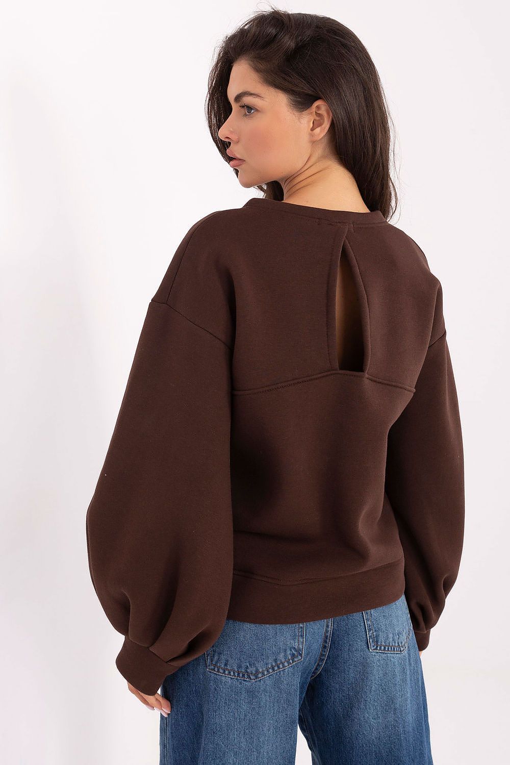 Women's Embroidered Crewneck Sweatshirt — Brown-Women Sweatshirt-LeStyleParfait
